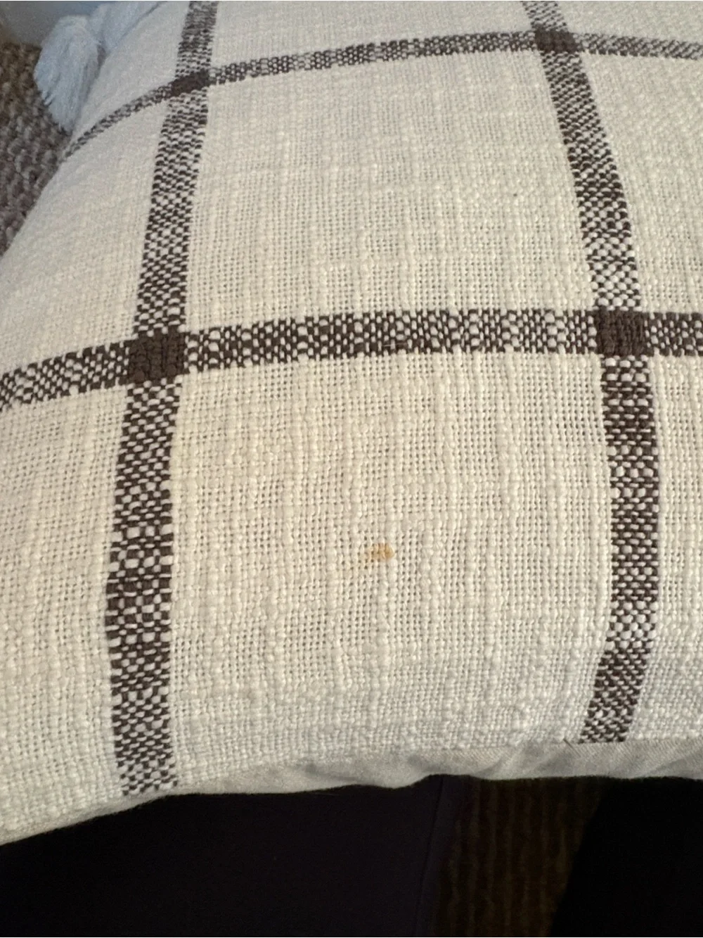 Hearth & Hand Decorative Plaid Tassel Pillow 24”x24”